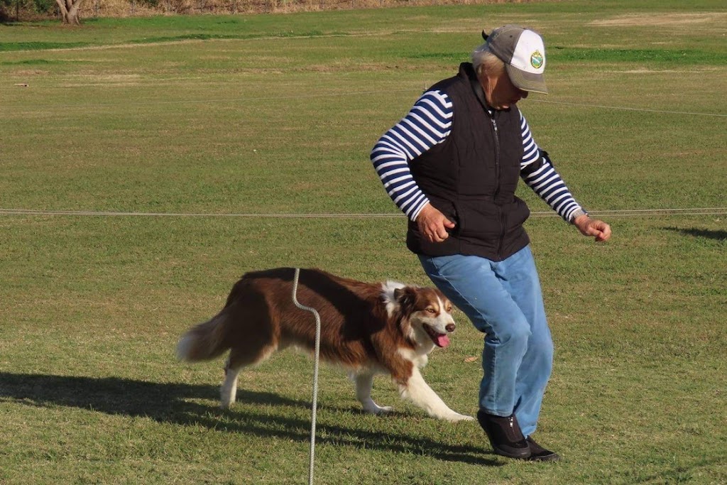 C.L.E.A.R Dog Training | 7 Lahey Cl, Wynnum QLD 4178, Australia | Phone: 0468 990 050