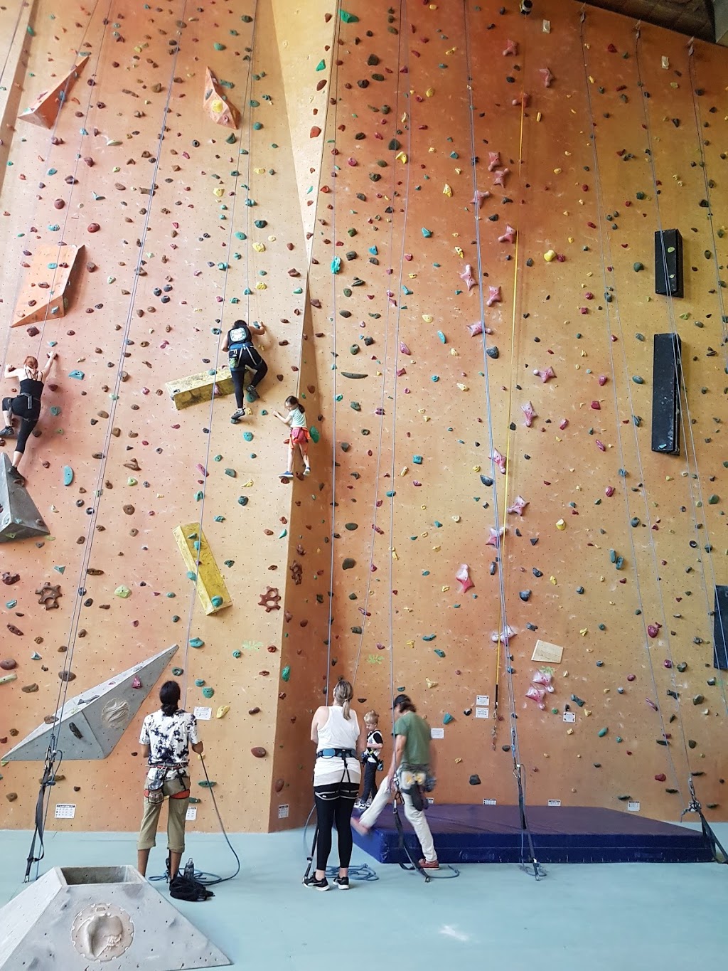 Sydney Indoor Climbing Gym Villawood | 5/850 Woodville Rd, Villawood NSW 2163, Australia | Phone: (02) 9728 2825