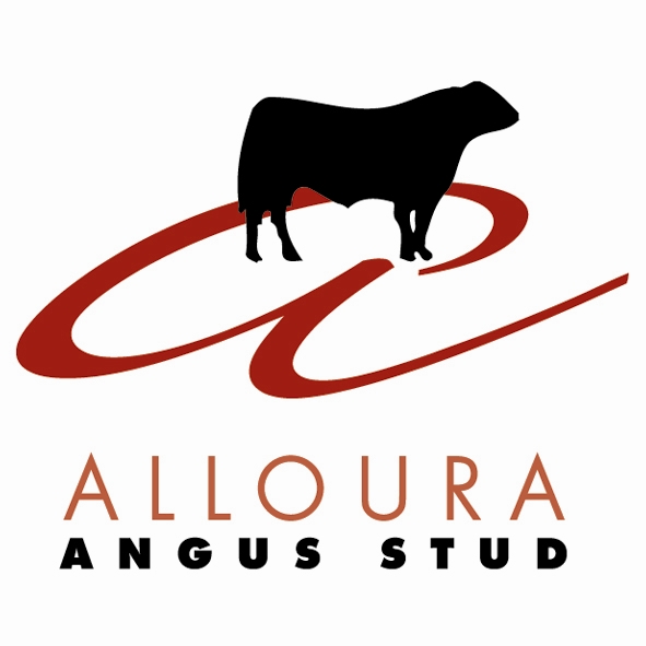 Alloura Angus Stud | food | 598 Good Hope Rd, Good Hope NSW 2582, Australia | 0262264406 OR +61 2 6226 4406