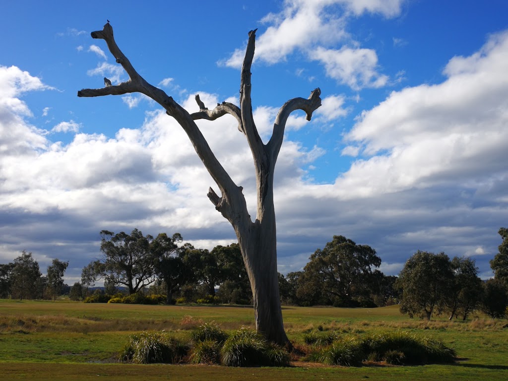 Growling Frog Golf Course | 1910 Donnybrook Rd, Yan Yean VIC 3755, Australia | Phone: (03) 9716 3477