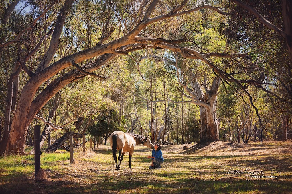 Kellie Malcolm | 18 Walters St, Wunghnu VIC 3635, Australia | Phone: 0428 655 391