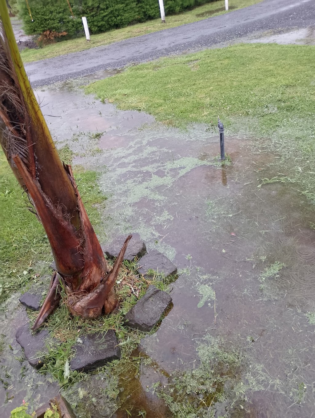 Settlers Rest Caravan Park | 111 Morrison Rd, Longwarry North VIC 3816, Australia | Phone: 0435 941 112