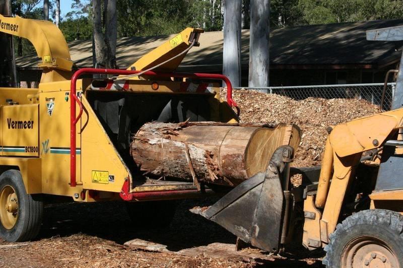 Strudwicks Tree Lopping | 9 Plumbs Rd, Tanah Merah QLD 4128, Australia | Phone: 0419 727 393