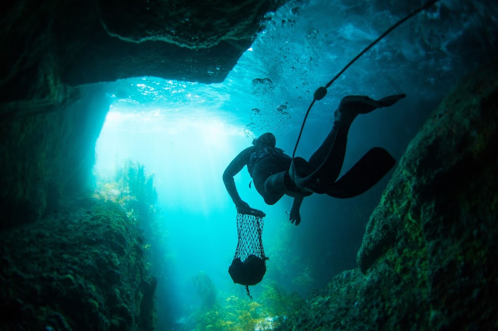 Candy Abalone | 21 Pothana Rd, Electrona TAS 7054, Australia | Phone: 0419 562 716