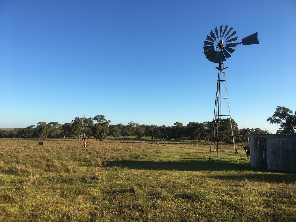 Naracoorte Conservation Park | park | Naracoorte SA 5271, Australia