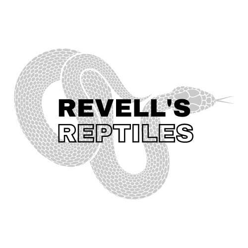 Revells Reptiles | Westbrook Rd, Bickley Vale NSW 2570, Australia | Phone: 0449 574 665