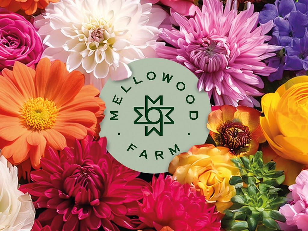 Mellowood Farm | 145 Locarno Rd, Clydesdale VIC 3461, Australia | Phone: 0418 503 378