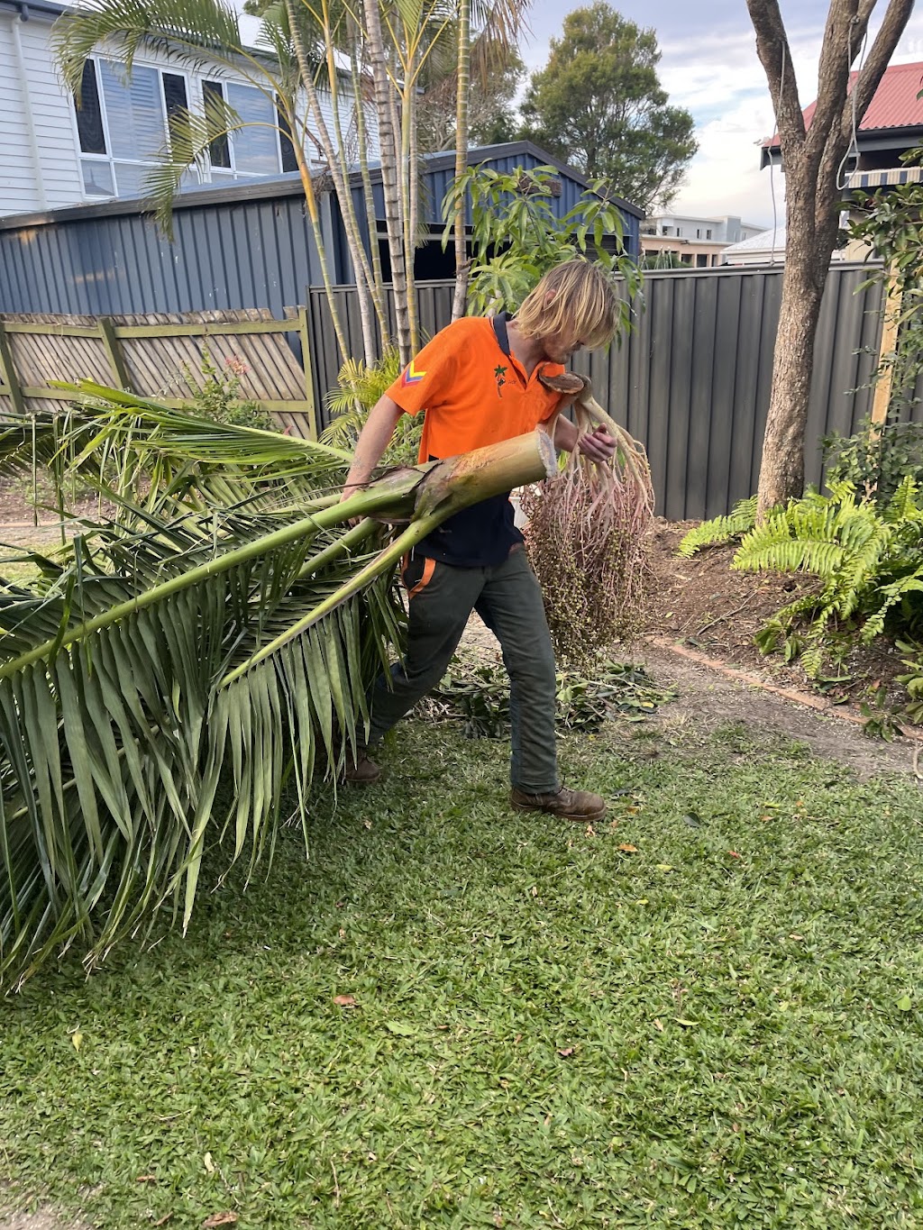 COLOURFUL TREE LOPPING STUMP GRINDING | 44A Oyster Point Esplanade, Scarborough QLD 4020, Australia | Phone: 0438 988 985