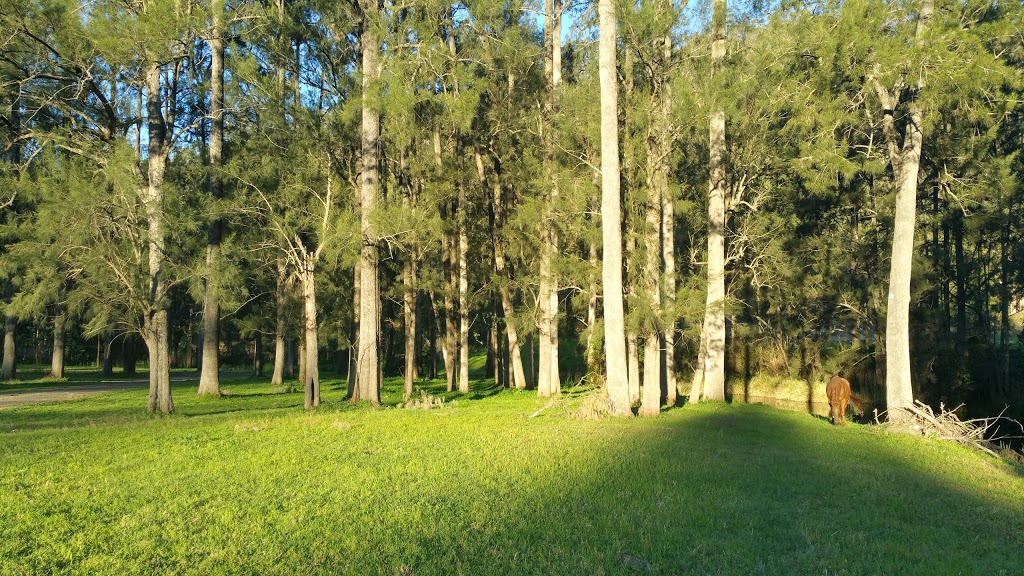 Aysgarth Cottage Gloryvale | 2091 Thunderbolts Way, Rookhurst NSW 2422, Australia | Phone: (02) 6558 7523