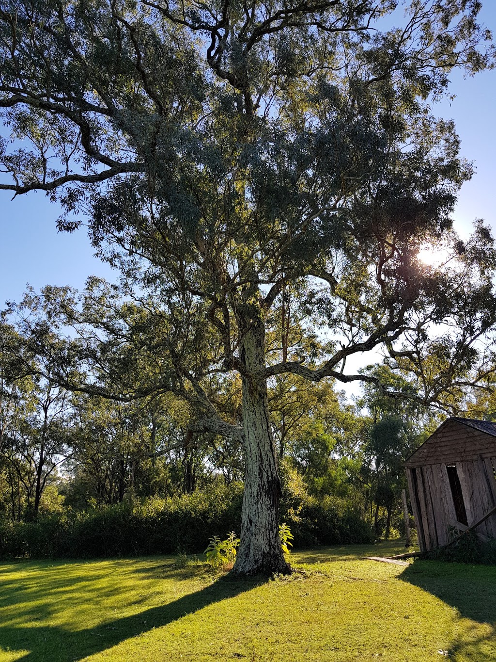 Cattai National Park | park | Cattai NSW 2756, Australia | 0245723100 OR +61 2 4572 3100