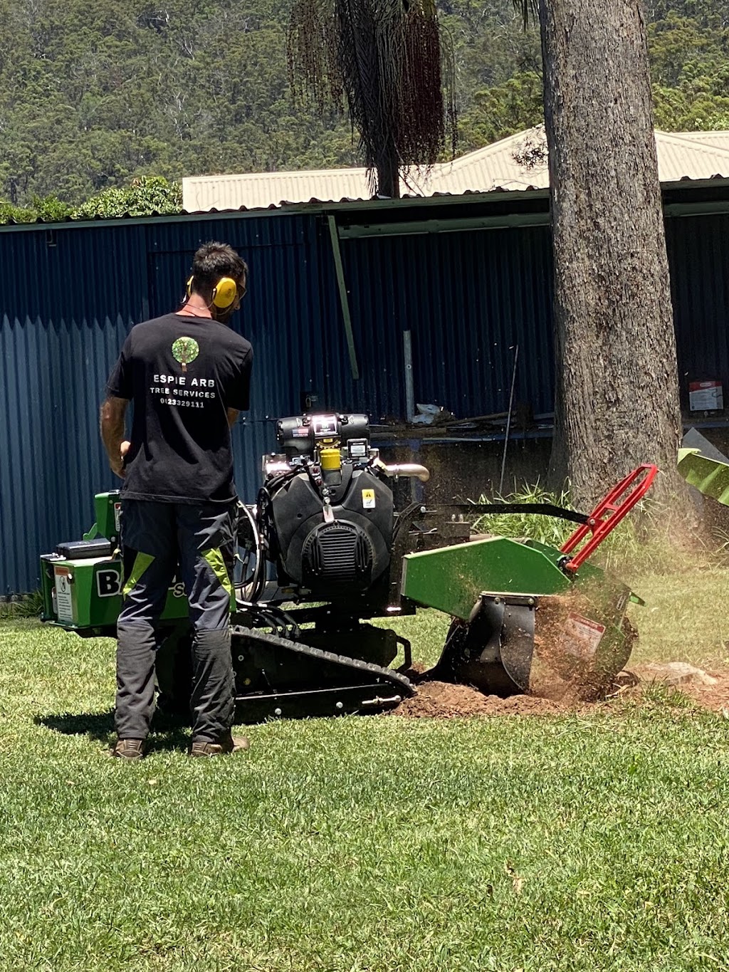 Espie Arb Tree Services | 286 Ocean Dr, Lakewood NSW 2443, Australia | Phone: 0423 329 111