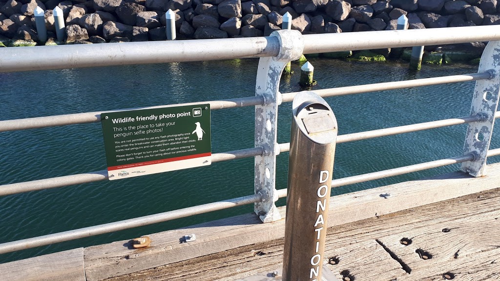 St. Kilda Pier Penguin Colony | zoo | Victoria, Australia