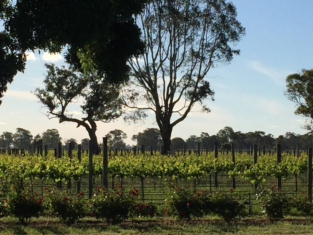 Raidis Estate Coonawarra | tourist attraction | 15741 Riddoch Hwy, Penola SA 5277, Australia | 0887372966 OR +61 8 8737 2966