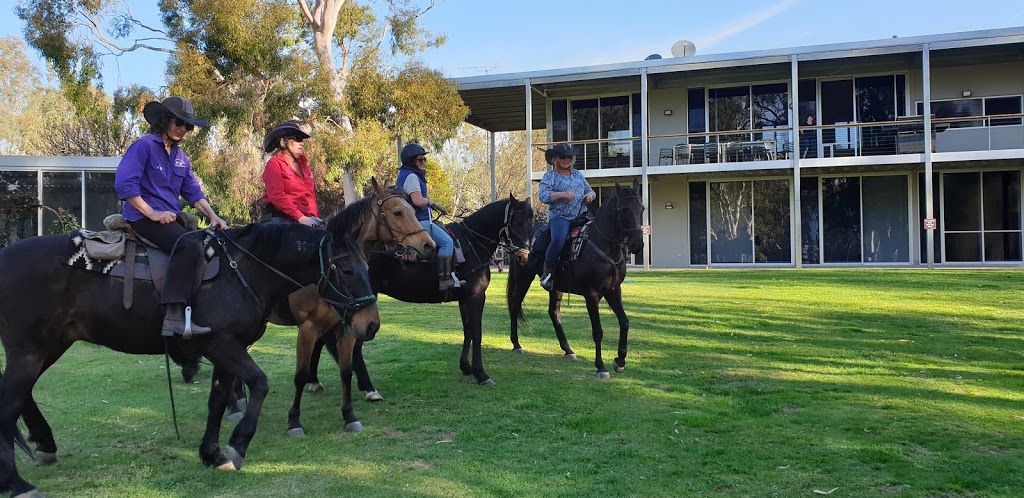 Cape Horn Vineyard | tourist attraction | 489 Stewarts Bridge Rd, Echuca Village VIC 3564, Australia | 0354806013 OR +61 3 5480 6013