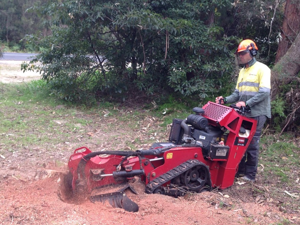 Horizon Total Tree Service | 80 Forest Parade, Tomakin NSW 2537, Australia | Phone: 0488 585 563