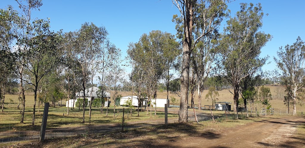 Millies Farm Stays | 77A Saville Rd, Allenview QLD 4285, Australia | Phone: 0412 177 757
