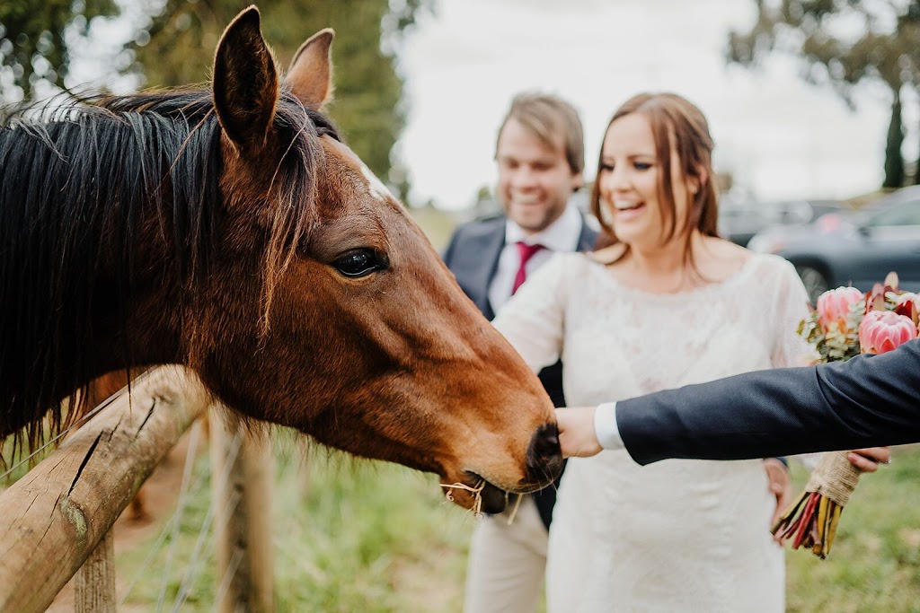 Quirindi Stables | 60 Telegraph Rd, Newlyn North VIC 3364, Australia | Phone: 0408 457 266