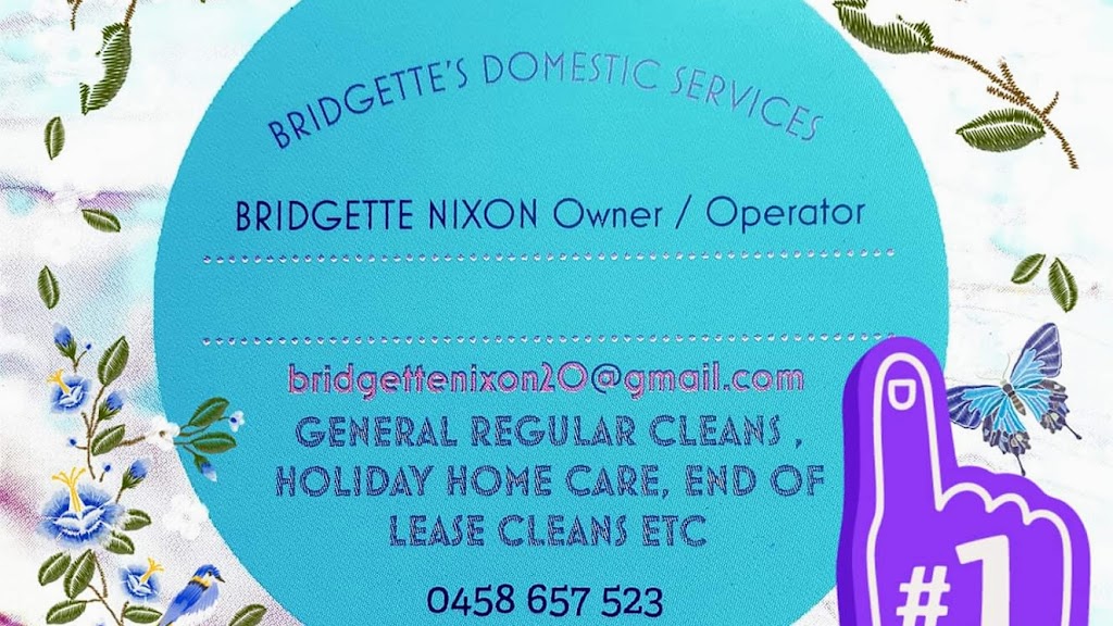 Bridgettes Domestic Cleaning services | lodging | 8 Yarrabee Dr, Catalina NSW 2536, Australia | 0458657523 OR +61 458 657 523
