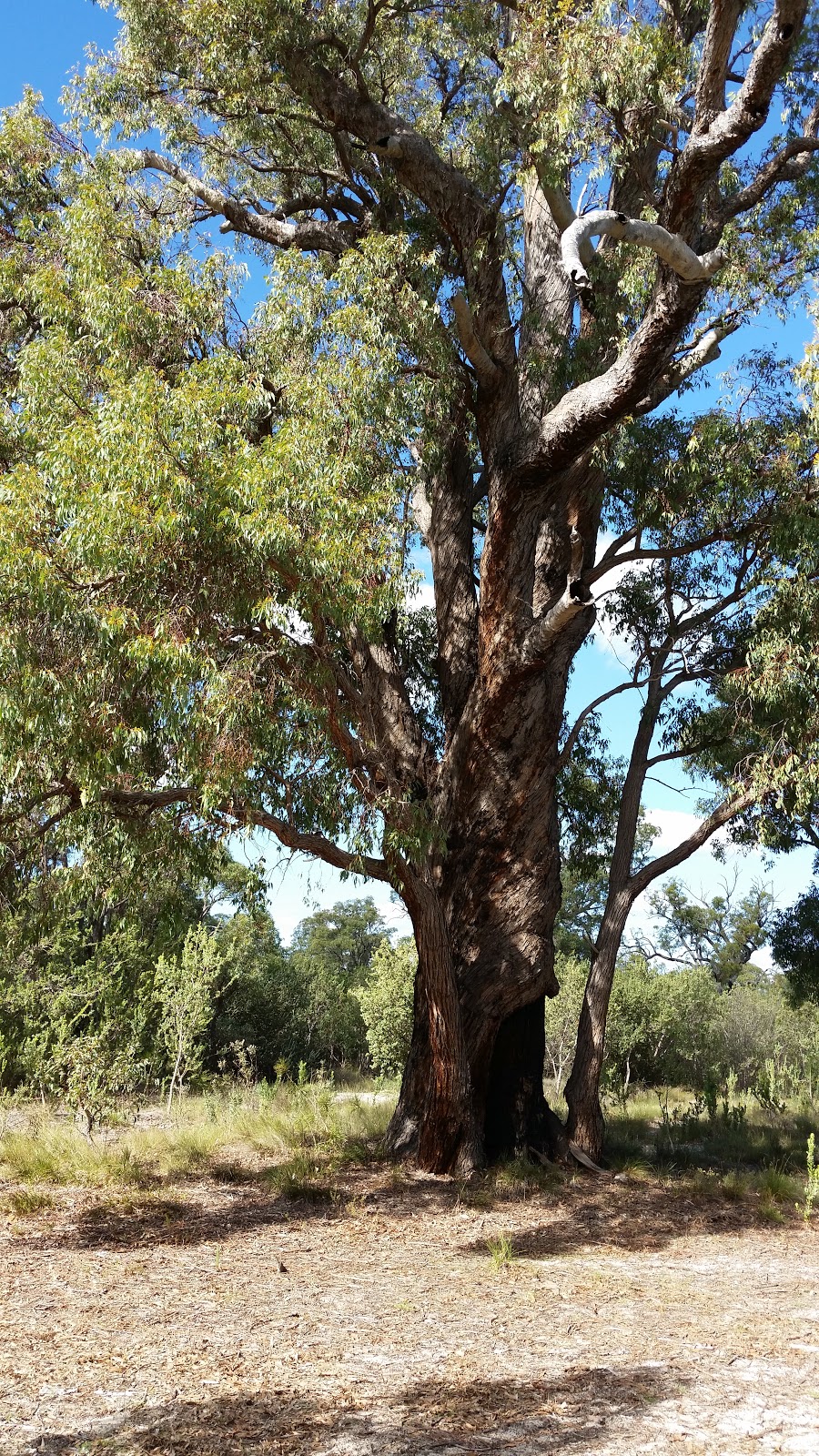 Talbot Road Nature Reserve | Stratton WA 6056, Australia
