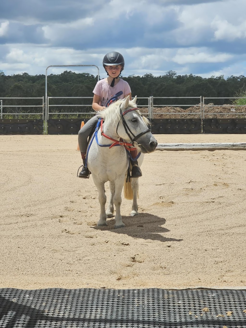 Logical Equine Lessons | 795 Avenue Rd, Ellangowan NSW 2470, Australia | Phone: 0402 748 692