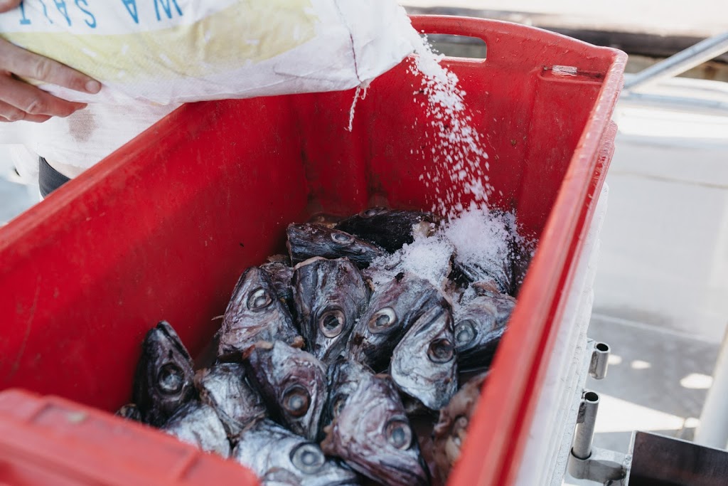 Geraldton Fishermens Co-operative Marine Store | store | 61-67 Connell Rd Geraldton, West End WA 6530, Australia | 0899659043 OR +61 8 9965 9043