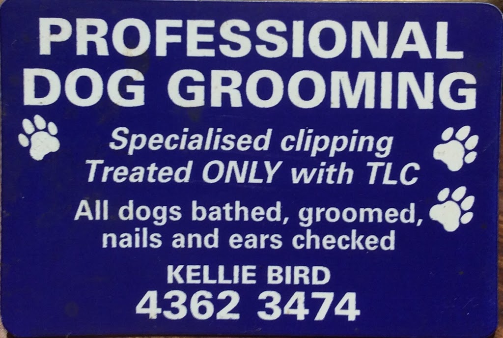Professional Dog Grooming | 41 Dog Trap Rd, Ourimbah NSW 2258, Australia | Phone: (02) 4362 3474
