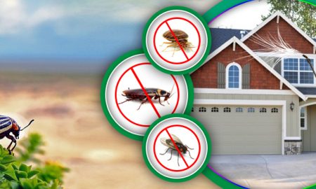 Squeak Pest Control Ellenbrook | home goods store | 8809 Banrock Dr, Ellenbrook WA 6069, Australia | 0488841687 OR +61 488 841 687