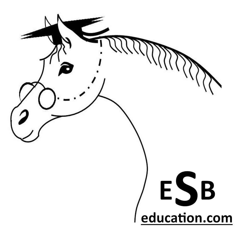 ESB education | 2 Millards Ln, Euroa VIC 3666, Australia | Phone: 0417 363 710