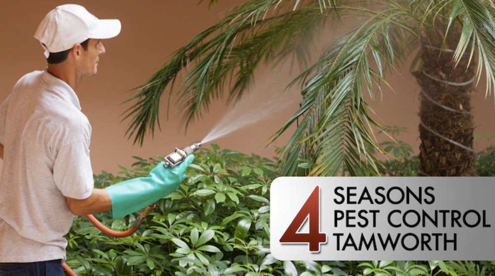 4 Seasons Pest Control | 18 Craigends Ln, Hillvue NSW 2340, Australia | Phone: 0438 615 027