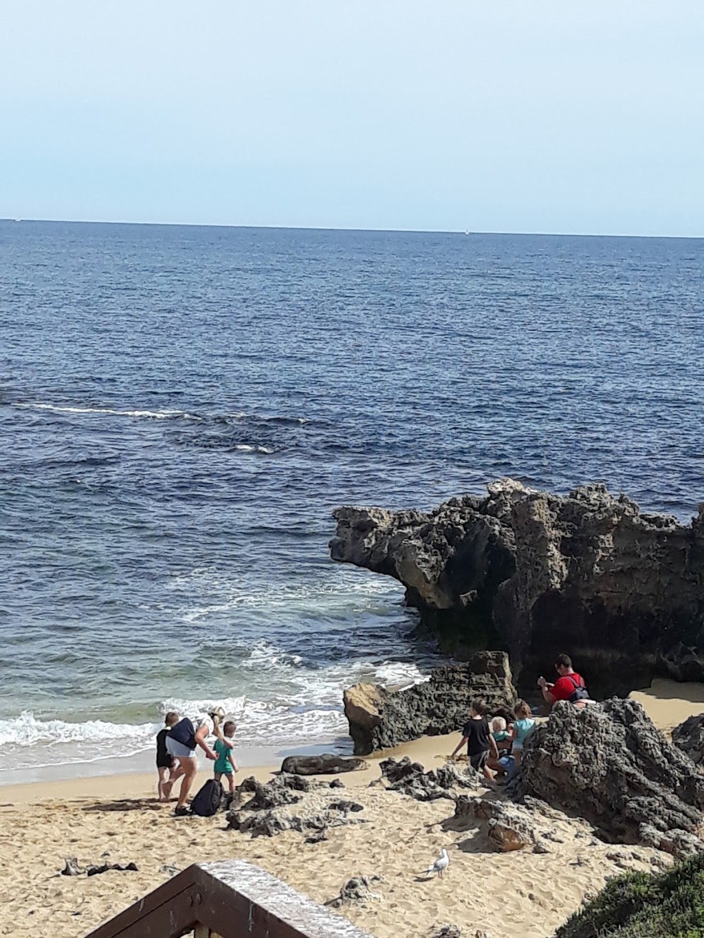 Seaforth McKenzies Cave | Penguin Island, WA, Australia | Phone: 0409 808 903