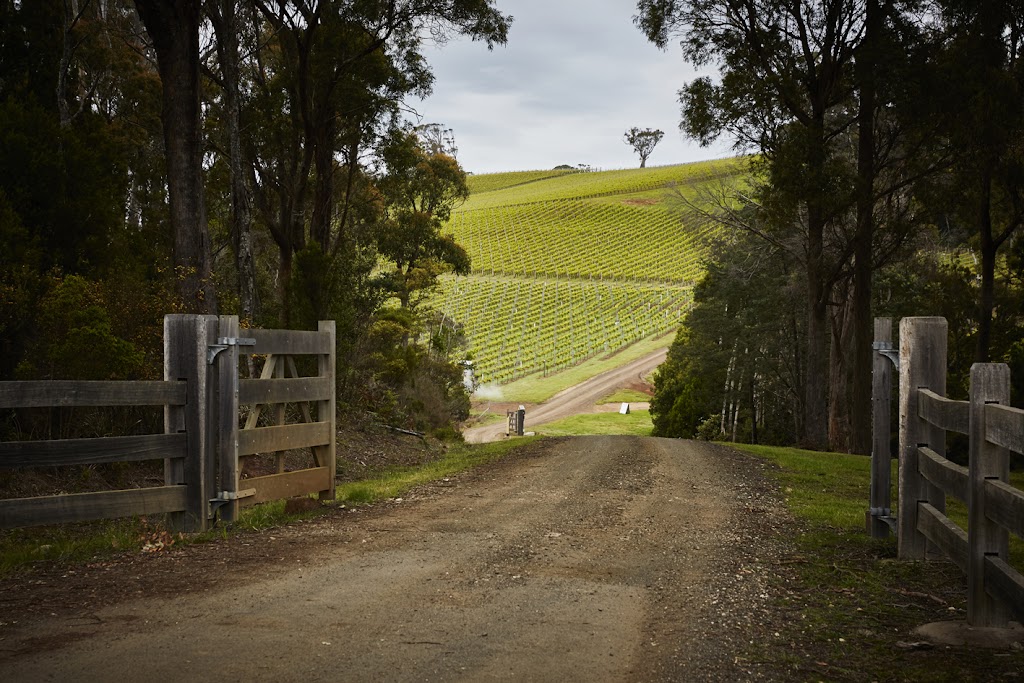 Dalrymple Vineyards | tourist attraction | 1337 Pipers Brook Rd, Pipers Brook TAS 7254, Australia | 0363827229 OR +61 3 6382 7229