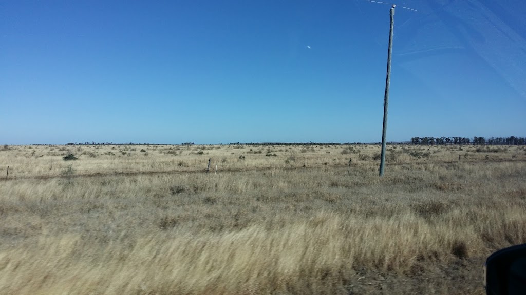 Mazeppa National Park | Frankfield QLD 4721, Australia | Phone: (07) 3170 5470