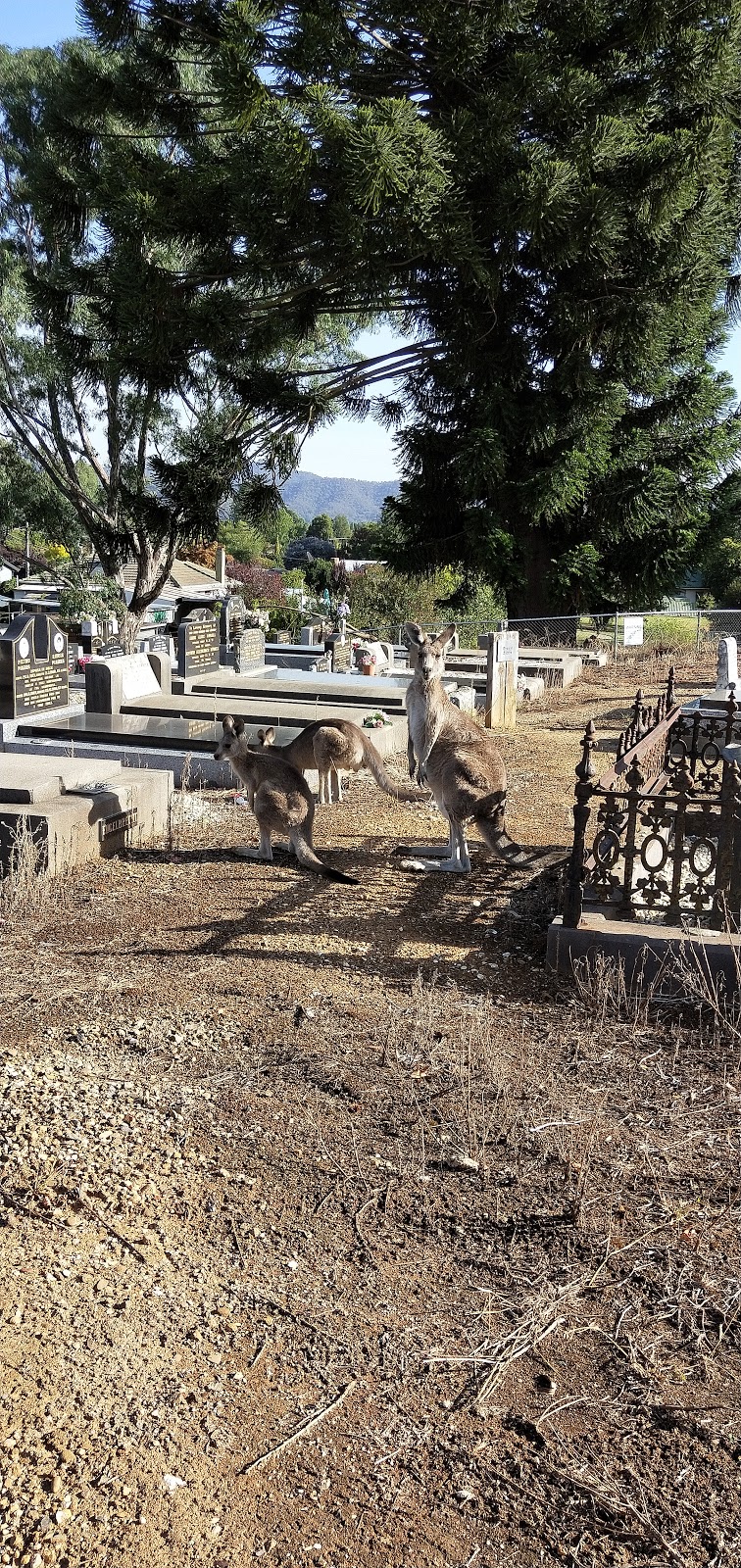 Myrtleford Cemetery | cemetery | Odonnell Ave, Myrtleford VIC 3737, Australia