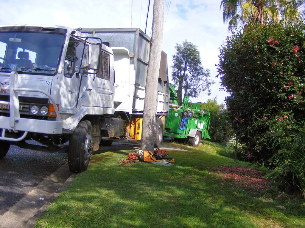 True Blue Tree Service | 217 Wights Mountain Rd, Wights Mountain QLD 4520, Australia | Phone: 1300 769 206