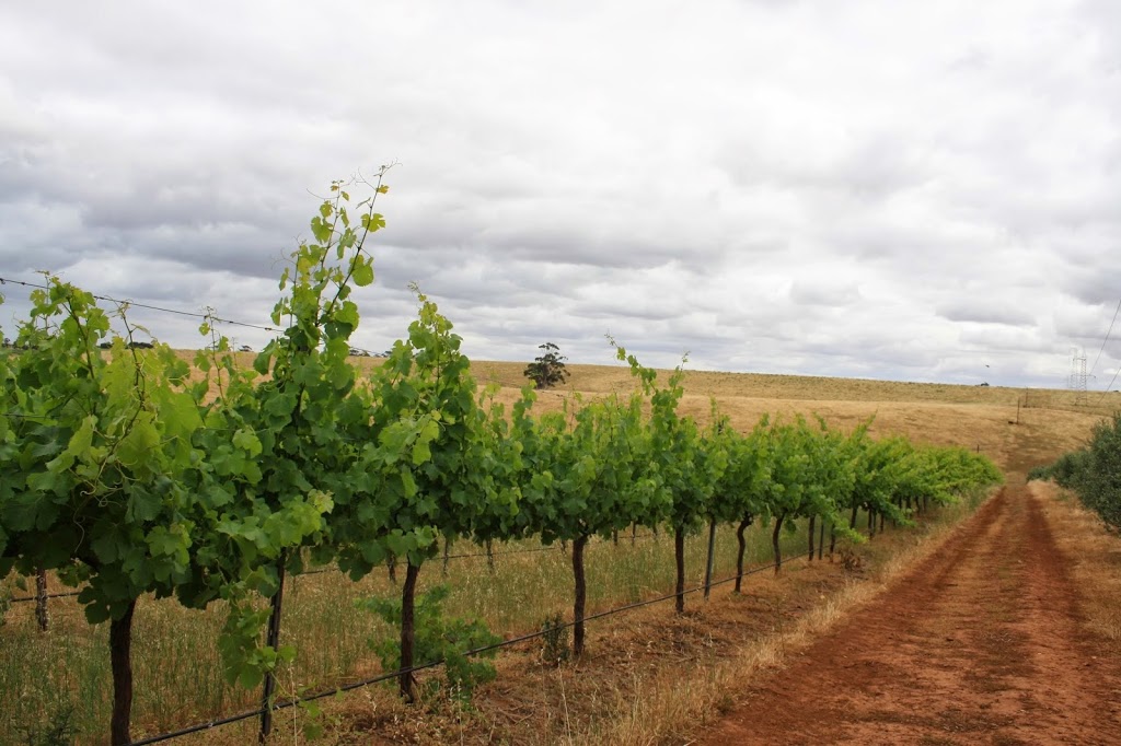 Uleybury Vineyards & Wines | Uley Rd, Uleybury SA 5114, Australia | Phone: (08) 8280 7335