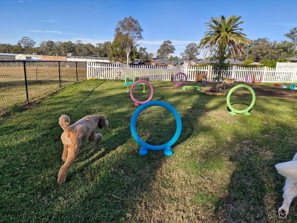 Pawfect Stay | 247 Reynolds Rd, Londonderry NSW 2753, Australia | Phone: 0413 866 896