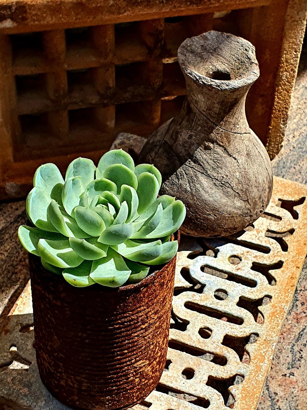 Eclectic the curious Plantman | 3988 Wingham Rd, Comboyne NSW 2429, Australia | Phone: 0477 056 395