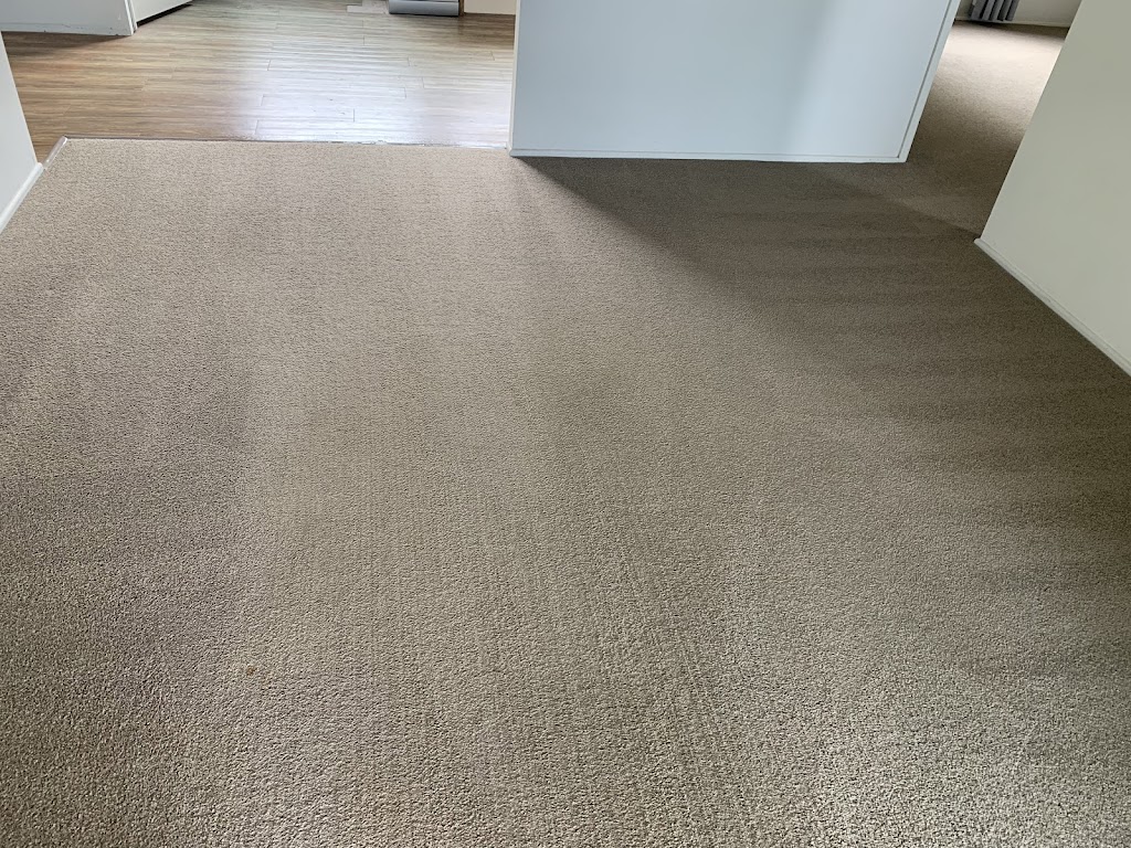 Cleanwee cleaning | Bellatrix St, Inala QLD 4077, Australia | Phone: 0450 725 830