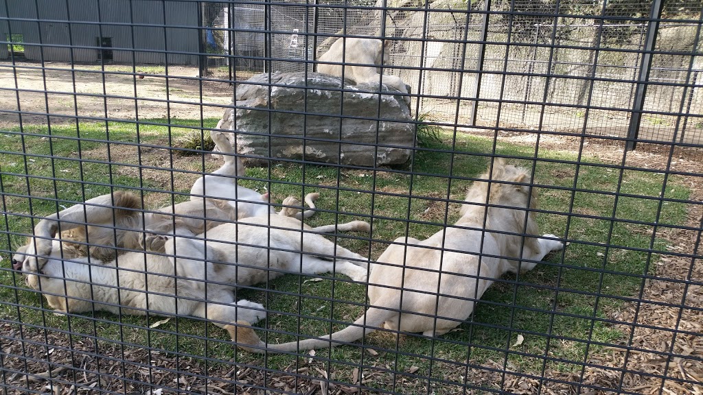 Shoalhaven Zoo And Adventure World | 23 Rock Hill Rd, North Nowra NSW 2541, Australia | Phone: (02) 4421 3949