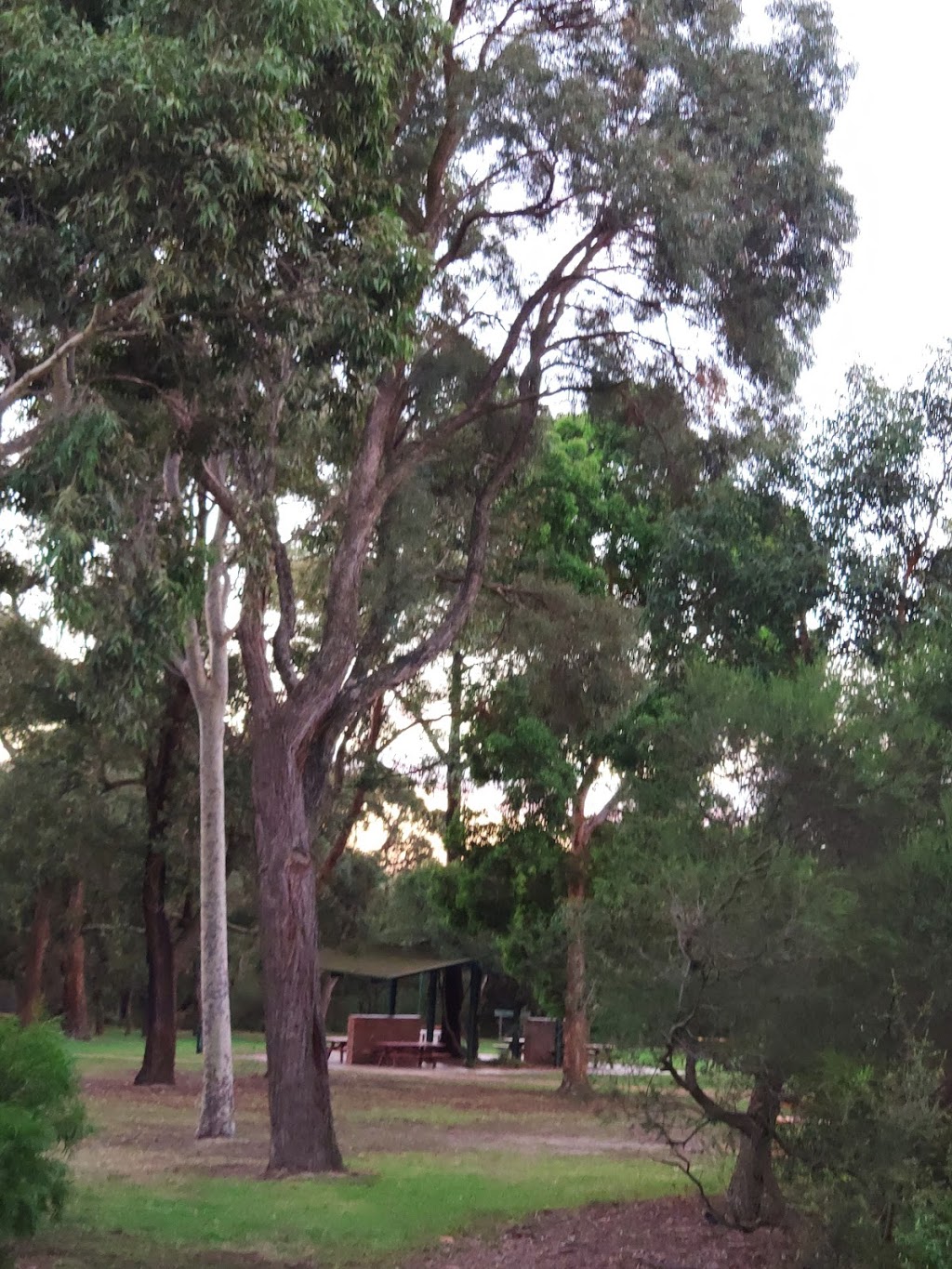 Antonio Park | park | Mitcham VIC 3132, Australia | 0398744371 OR +61 3 9874 4371
