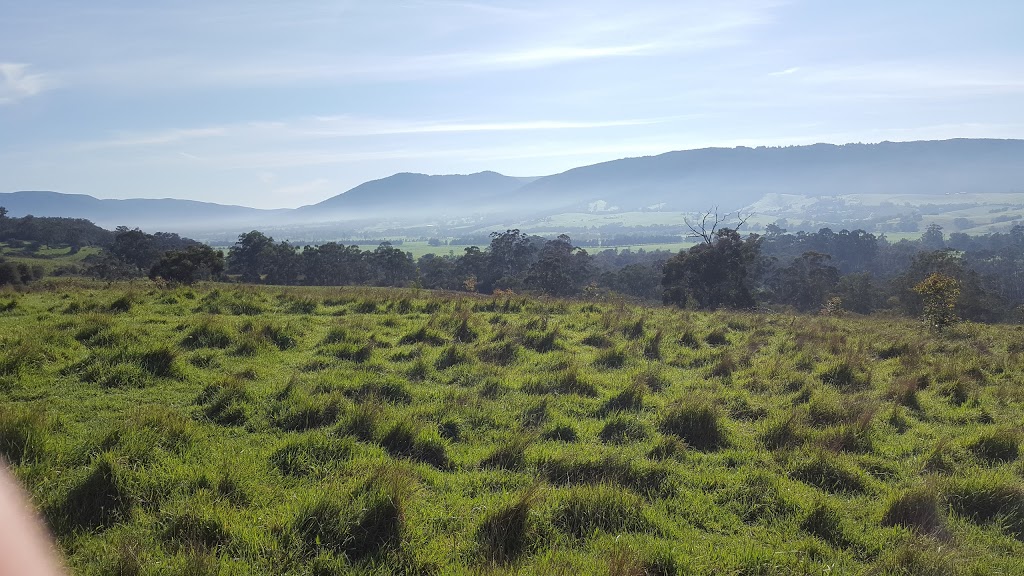 Warramate Hills Nature Conservation Reserve | Killara Rd, Gruyere VIC 3770, Australia | Phone: 13 19 63