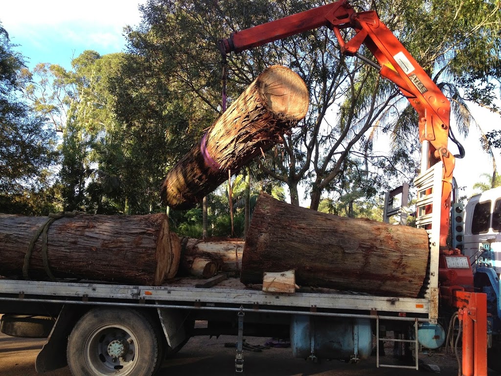 Ultimate Tree Care | 74 Bottlebrush Dr, Glenning Valley NSW 2261, Australia | Phone: 1800 883 572