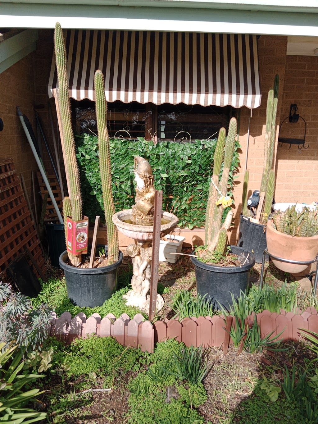 CITAS CHAIR | 26 Crespigny St, Talbot VIC 3371, Australia | Phone: 0460 892 347