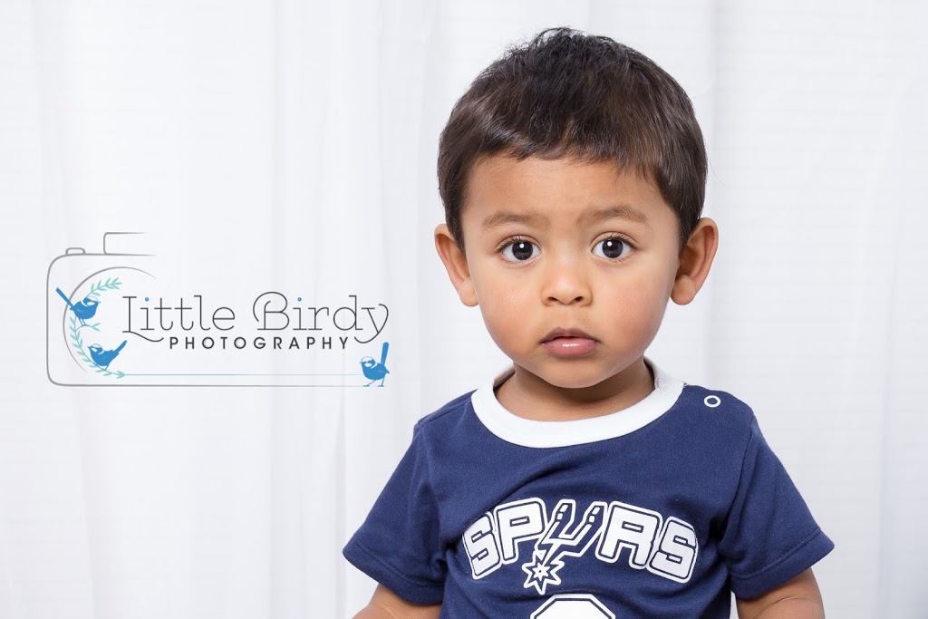 Little Birdy Photography |  | 275 Cochranes Rd, Traralgon South VIC 3844, Australia | 0437955023 OR +61 437 955 023