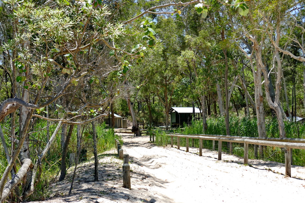 Ben-Ewa camping area, Moreton Island National Park and Recreatio | Ben Ewa Campground Circuit, Moreton Island QLD 4025, Australia