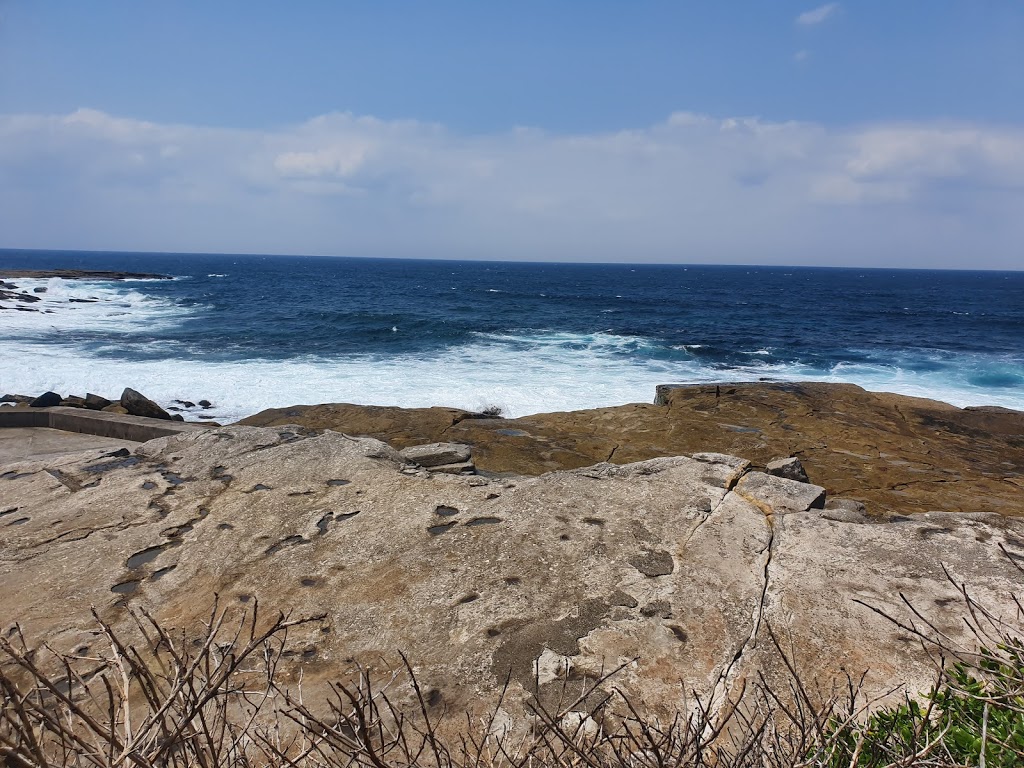 Clovelly Surf Life Saving Club |  | Bundock Park, Donnellan Cct, Clovelly NSW 2031, Australia | 0296651441 OR +61 2 9665 1441