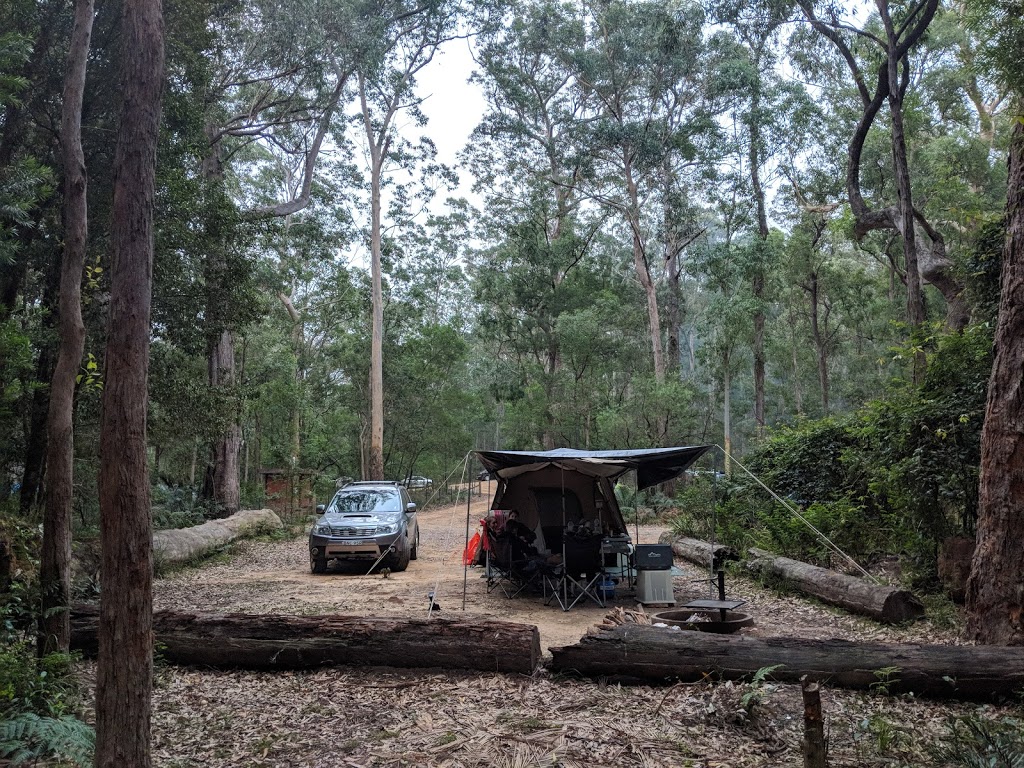 Blue Gum Flat campground | campground | Blue Gum Flat Road, Yadboro NSW 2539, Australia | 0248877270 OR +61 2 4887 7270