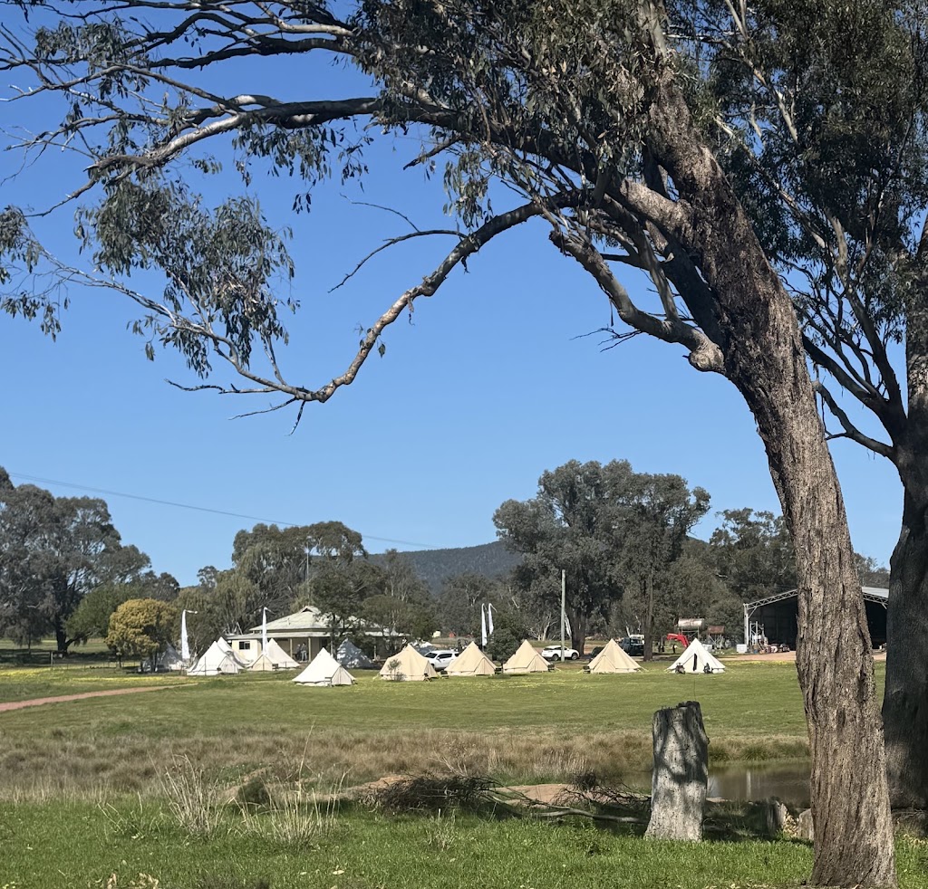 South Coast Glamping | 12 Nulla Pl, St Georges Basin NSW 2540, Australia | Phone: 0421 734 617