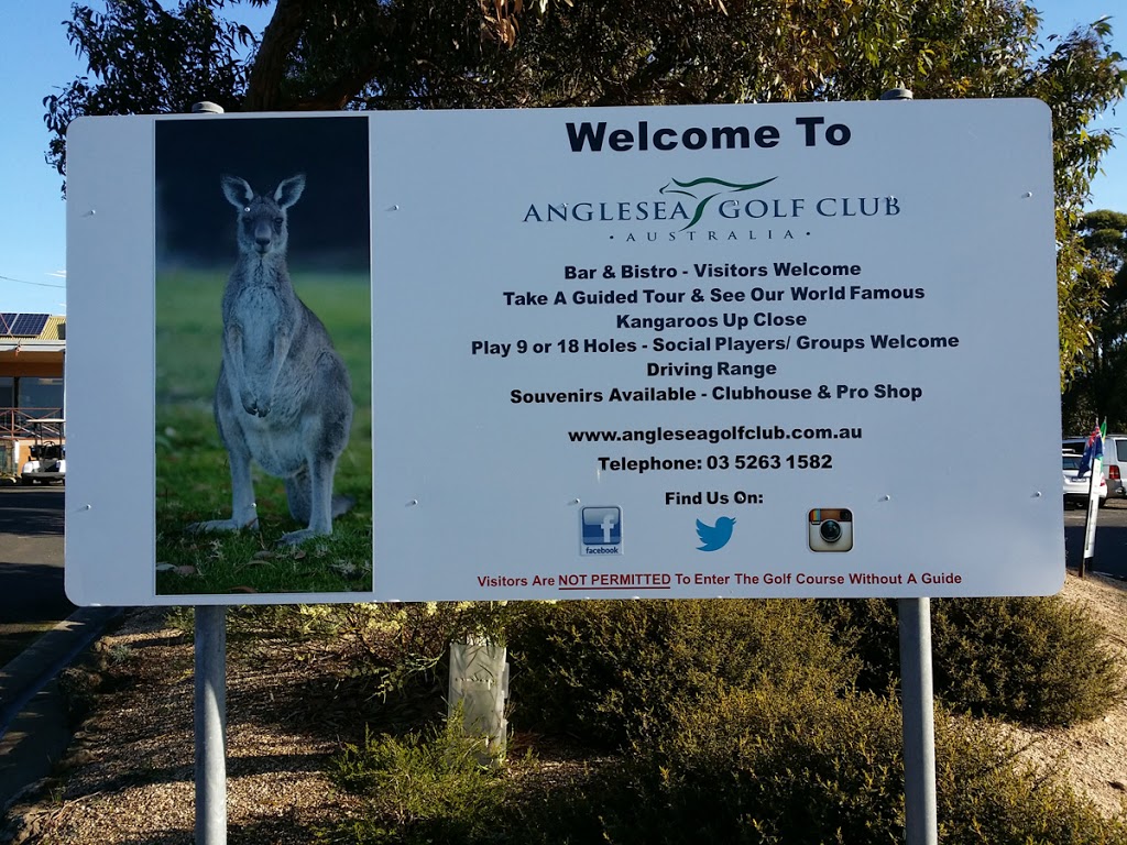 Kangaroo Viewing Tours Anglesea | 1 Golf Links Rd, Anglesea VIC 3230, Australia | Phone: (03) 5263 1582