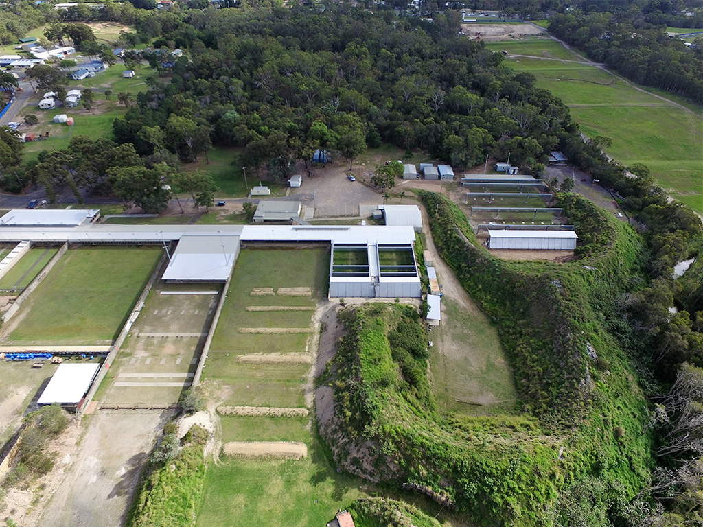 Metropolitan Pistol Club | Pistol Parade, off Old Cleveland Rd, Belmont QLD 4153, Australia | Phone: 0481 216 079